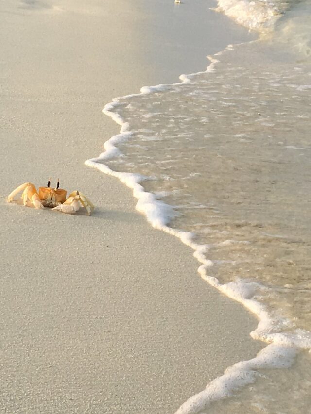 Lakshadweep: Untouched Paradise